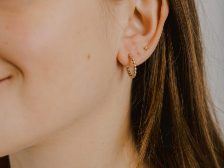 Logan Earrings Discount