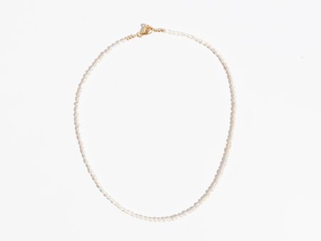 Ralph Pearl Choker Fashion