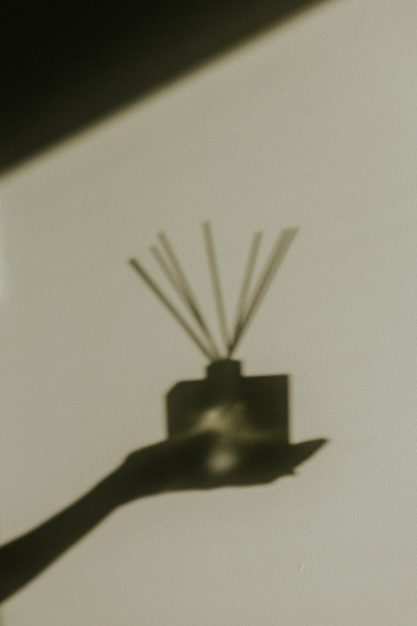 Adorn Diffusers Online now